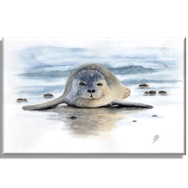 Leinwand Keilrahmen Canvas-Leinen Aquarell Maritim Kunst Druck Kunstdruck Seehund auf Bauch Robbe Heuler Kegelrobbe Dänemark Nordsee Ostsee